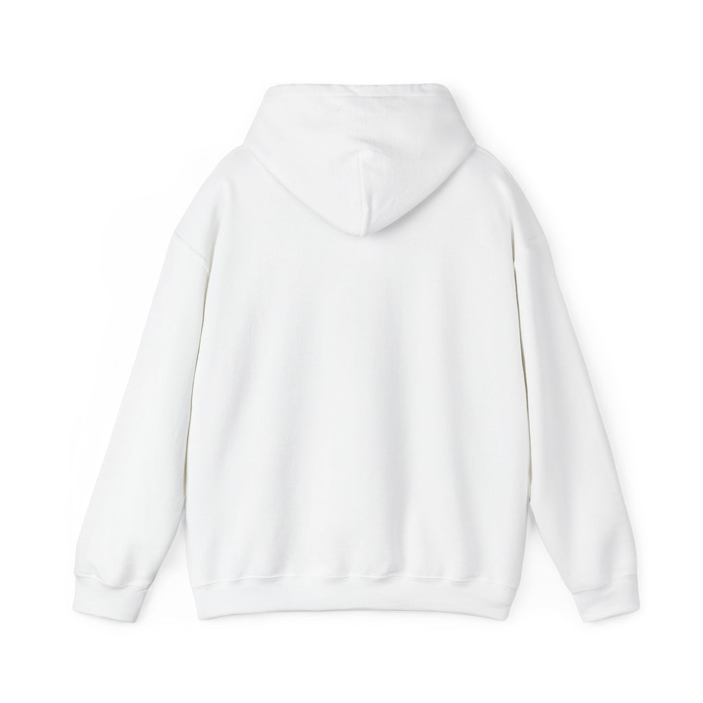 The Hedgehog Hoodie (Cute Cartoon Hedgehog Hoodie — Kawaii Animal Graphic Pullover)